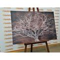 PICTURE OF A TREE CROWN ON A WOODEN BACKGROUND - PICTURES OF TREES AND LEAVES - PICTURES