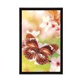 POSTER SPRING FLOWERS WITH EXOTIC BUTTERFLIES - ANIMALS - POSTERS