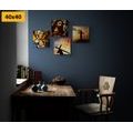 CANVAS PRINT SET HEAVENLY KINGDOM - SET OF PICTURES - PICTURES