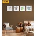 CANVAS PRINT SET ANIMALS WITH INDIAN FEATHERS - SET OF PICTURES - PICTURES