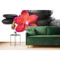 TAPETA ORCHIDEA A ZEN KAMENE NA BIELOM POZADÍ - TAPETY FENG SHUI - TAPETY