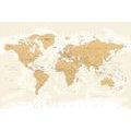 DECORATIVE PINBOARD WORLD MAP WITH A VINTAGE TOUCH - PICTURES ON CORK - PICTURES