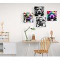 CANVAS PRINT SET DOGS IN POP ART DESIGN - SET OF PICTURES - PICTURES