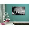 CANVAS PRINT FENG SHUI HARMONY IN BLACK AND WHITE - BLACK AND WHITE PICTURES - PICTURES