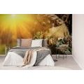 WALL MURAL ANGEL WITH SUN RAYS - WALLPAPERS ANGELS - WALLPAPERS