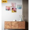 CANVAS PRINT SET FOR LOVERS OF SWEETS - SET OF PICTURES - PICTURES