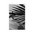 POSTER SEASHELLS UNDER PALM LEAVES IN BLACK AND WHITE - BLACK AND WHITE - POSTERS