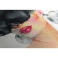 CANVAS PRINT FEMALE ICON - PICTURES OF WOMEN - PICTURES