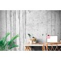 WALL MURAL CONCRETE WALL - WALLPAPERS WITH IMITATION OF BRICK, STONE AND CONCRETE - WALLPAPERS