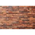 WALL MURAL THE CHARM OF WOOD - WALLPAPERS WITH IMITATION OF WOOD - WALLPAPERS