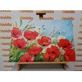 CANVAS PRINT PAINTED FIELD POPPIES - PICTURES FLOWERS - PICTURES
