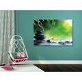 CANVAS PRINT ZEN STONES IN A FOREST STREAM - PICTURES FENG SHUI - PICTURES