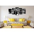 5-PIECE CANVAS PRINT LION HEAD IN BLACK AND WHITE - BLACK AND WHITE PICTURES - PICTURES