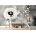 SELF ADHESIVE WALL MURAL MAGICAL BLACK AND WHITE DANDELION - SELF-ADHESIVE WALLPAPERS - WALLPAPERS