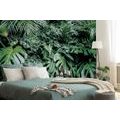 WALL MURAL JUNGLE LEAVES - WALLPAPERS NATURE - WALLPAPERS