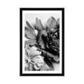 POSTER WITH MOUNT PEONIES IN BLACK AND WHITE - BLACK AND WHITE - POSTERS