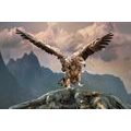 CANVAS PRINT EAGLE WITH SPREAD WINGS OVER THE MOUNTAINS - PICTURES OF ANIMALS - PICTURES