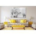 CANVAS PRINT ROMANTIC STILL LIFE IN VINTAGE STYLE IN BLACK AND WHITE - BLACK AND WHITE PICTURES - PICTURES