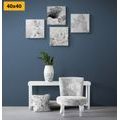 CANVAS PRINT SET HARMONY OF ANGELS IN BLACK AND WHITE - SET OF PICTURES - PICTURES