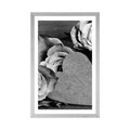 POSTER WITH MOUNT VALENTINE'S ROSES IN BLACK AND WHITE - BLACK AND WHITE - POSTERS