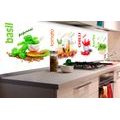 SELF ADHESIVE PHOTO WALLPAPER FOR KITCHEN SPICES AND HERBS - WALLPAPERS