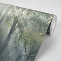 WALL MURAL SUN RAYS IN A FOGGY FOREST - WALLPAPERS NATURE - WALLPAPERS
