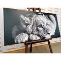CANVAS PRINT OF A CUTE LION IN BLACK AND WHITE - BLACK AND WHITE PICTURES - PICTURES