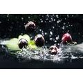 WALL MURAL RIPE CHERRIES IN WATER - WALLPAPERS FOOD AND DRINKS - WALLPAPERS