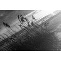 CANVAS PRINT SUNSET ON A BEACH IN BLACK AND WHITE - BLACK AND WHITE PICTURES - PICTURES