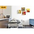 CANVAS PRINT SET COLORFUL FRUIT - SET OF PICTURES - PICTURES