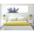 CANVAS PRINT LOTUS FLOWER - PICTURES FLOWERS - PICTURES