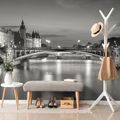 WALL MURAL DAZZLING BLACK AND WHITE PANORAMA OF PARIS - BLACK AND WHITE WALLPAPERS - WALLPAPERS