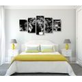 5-PIECE CANVAS PRINT LION HEAD IN BLACK AND WHITE - BLACK AND WHITE PICTURES - PICTURES