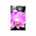 POSTER WITH MOUNT BEAUTIFUL ORCHID AND STONES - FENG SHUI - POSTERS