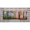 CANVAS PRINT FOUR SEASONS - PICTURES OF NATURE AND LANDSCAPE - PICTURES