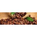 SELF ADHESIVE PHOTO WALLPAPER FOR KITCHEN COFFEE BEANS - WALLPAPERS