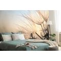 SELF ADHESIVE WALL MURAL DANDELION AT SUNRISE - SELF-ADHESIVE WALLPAPERS - WALLPAPERS