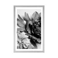 POSTER WITH MOUNT PEONIES IN BLACK AND WHITE - BLACK AND WHITE - POSTERS