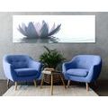 CANVAS PRINT LOTUS FLOWER - PICTURES FLOWERS - PICTURES