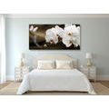 CANVAS PRINT ORCHID AND A BUTTERFLY - PICTURES FLOWERS - PICTURES