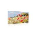 CANVAS PRINT PAINTED POPPIES IN A MEADOW - PICTURES FLOWERS - PICTURES