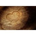 WALL MURAL HEART CARVED INTO A STUMP - WALLPAPERS WITH IMITATION OF WOOD - WALLPAPERS