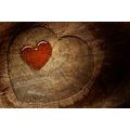 WALLPAPER HEART ON A STUMP - WALLPAPERS WITH IMITATION OF WOOD - WALLPAPERS