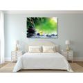 CANVAS PRINT ZEN STONES IN A FOREST STREAM - PICTURES FENG SHUI - PICTURES