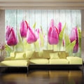 FOTOTAPETA TULIPÁNY NA DREVE - TULIPS ON WHITE WOOD - TAPETY KVETY - TAPETY