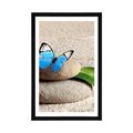 POSTER WITH MOUNT BLUE BUTTERFLY ON A ZEN STONE - FENG SHUI - POSTERS