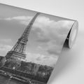 FOTOTAPETA NÁDHERNÁ ČIERNOBIELA PANORÁMA PARÍŽA - ČIERNOBIELE TAPETY - TAPETY