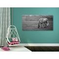 CANVAS PRINT HORSE ON A MEADOW IN BLACK AND WHITE - BLACK AND WHITE PICTURES - PICTURES