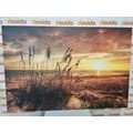 CANVAS PRINT SUNSET ON A BEACH - PICTURES OF NATURE AND LANDSCAPE - PICTURES