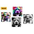 CANVAS PRINT SET DOGS IN POP ART DESIGN - SET OF PICTURES - PICTURES